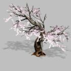 Flowering Plum Tree