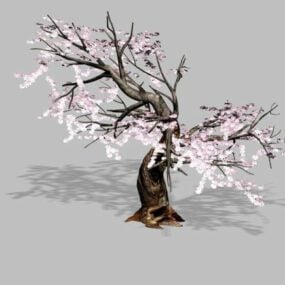 Kwitnące śliwkowe drzewo Bonsai Model 3D