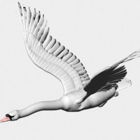 Swan Bird 3d-modell
