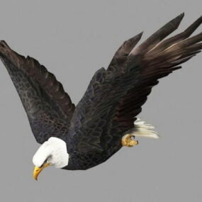 águila voladora con Rigged modelo 3d