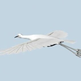 Model 3d Egret