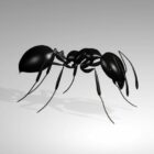 Giant Black Ant
