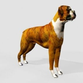 Modello 3d del cane boxer gigante