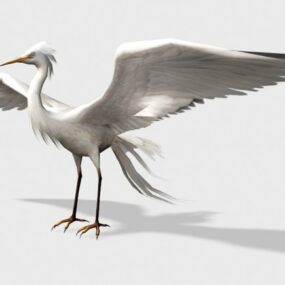 Modello 3d dell'uccello della garzetta selvatica
