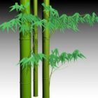 Growing Bamboo Tree