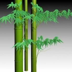 Indoor Potted Fan Palm Tree 3d model