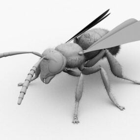 Animal Puppet Locusts 3d model
