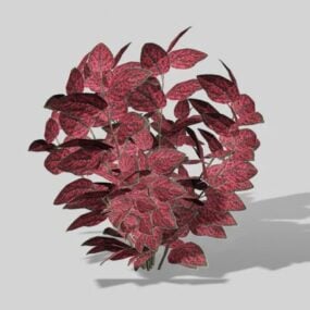 단단한 땅에 알로하 식물 잎 3d 모델