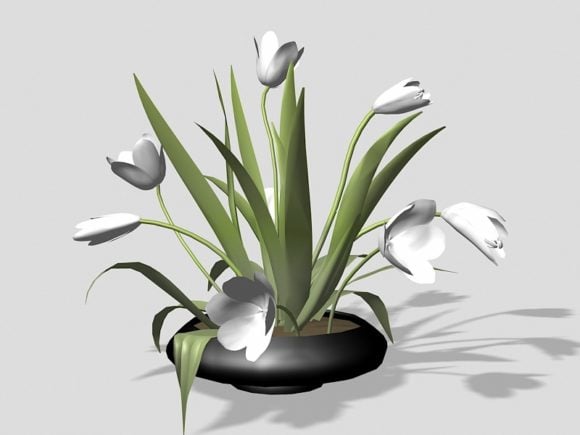 Fiore di gigli in vaso da interno