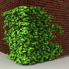Leaves Tree 3d model