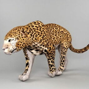 Modello 3d animale giaguaro