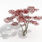 Foglia rossa dell'albero di acero giapponese
