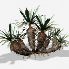 Nobilis Palm Tree 3d model
