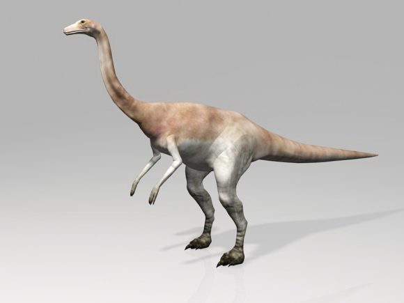 Dinosauro Gallimimus del Cretaceo