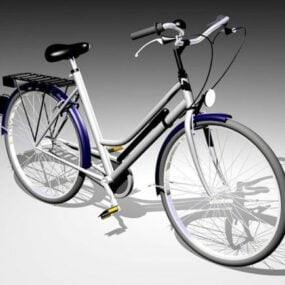 Old Ladies City Bike 3d-modell