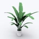 Large Indoor Potted Plant