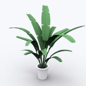 Lowpoly Plant Plant Heliconia 3d model
