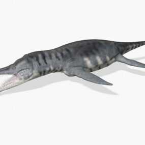 Liopleurodon Dinosaur 3d model