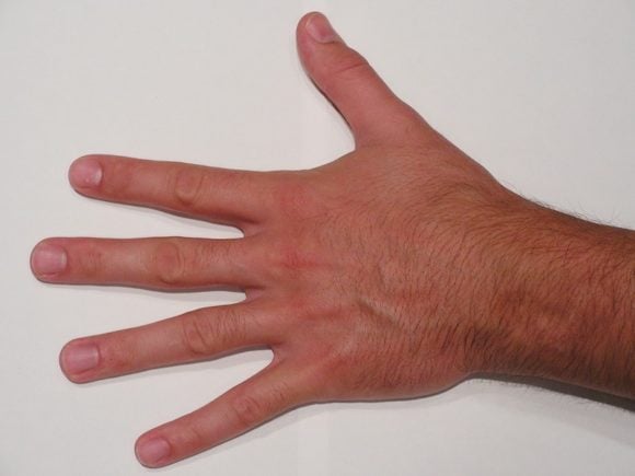Realistic Male Right Hand
