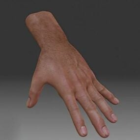 Realistisk mænds hånd 3d-model