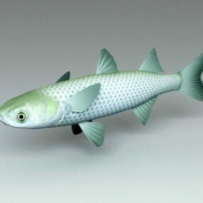 3д модель рыбы кефали