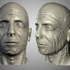 Yaşlı Adam Kafası 3d modeli