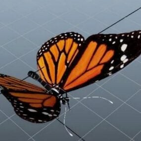 Mô hình 3d Cánh bướm màu cam