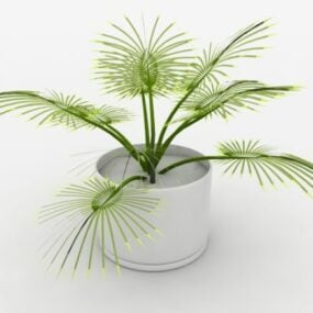 Modelo 3d de planta pequena em vaso de palmeira