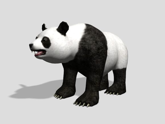 Beruang Panda yang realistik