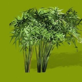パピルス植物の茂み3Dモデル