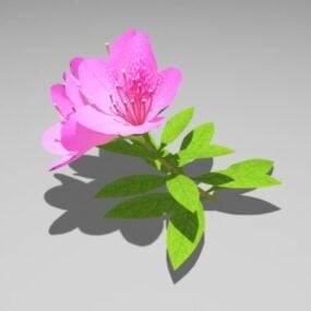 粉红色杜鹃花花3d模型