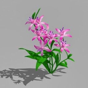3д модель розового цветка лилии