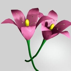 Modelo 3d de flor de lírio-tigre rosa