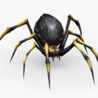 Black Poisonous Spider