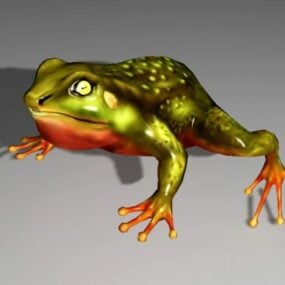 Pond Frog 3d model