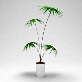 Modello 3d di piccola pianta di palma in vaso