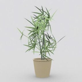 Wandering Jew Indoor Plant 3d model