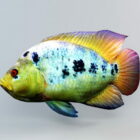 レインボーシクリッドの魚のアニメーション