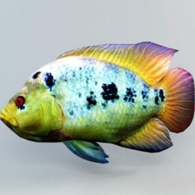 Rainbow Cichlid Fish Animated Rig 3d-model