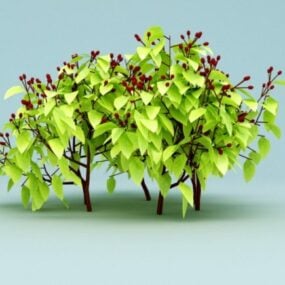 Potted Alocasia Calidora Plants 3d model