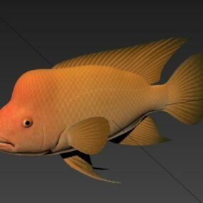 Ďábelská cichlidová ryba 3D model