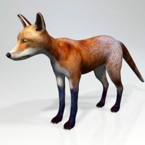 حیوان روباه قرمز با Rigged مدل سه بعدی