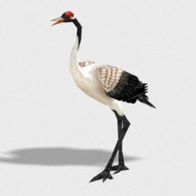 Red Crowned Crane 3d-modell
