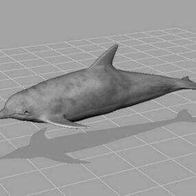 Mô hình cá heo biển 3d