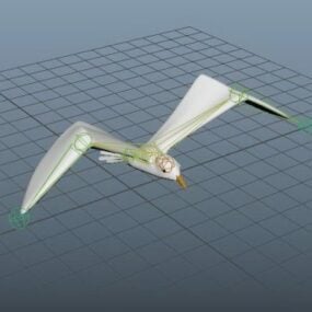 Burung Camar Rigged Model 3d