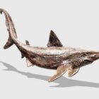 Sculpture fossile de requin