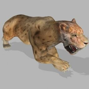 Sabertooth Tiger Creature 3d model