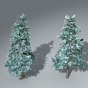 Deodar Pine Tree 3d model