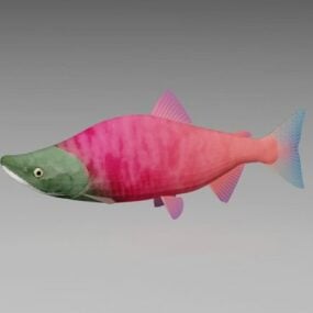 Pink Salmon Fish 3d model
