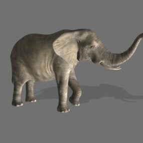 3д модель дикого азиатского слона